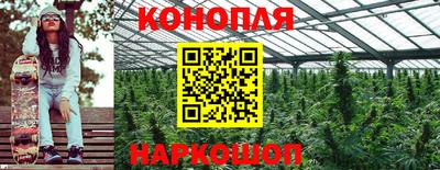 гашиш Малгобек