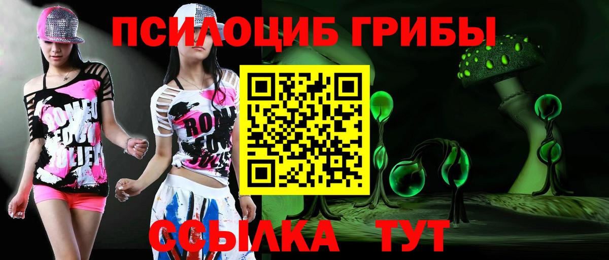 Псилоцибиновые грибы прущие грибы  Вход с VPN  Черняховск 