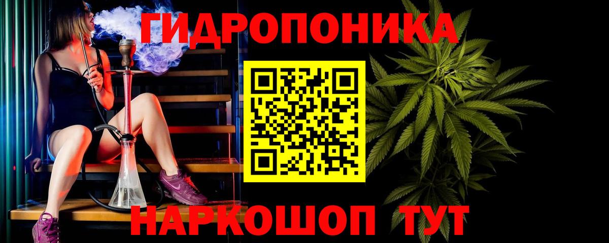 Канабис Ganja  Марихуана план  Черняховск  Шишки марихуана Bruce Banner  Вход с VPN 